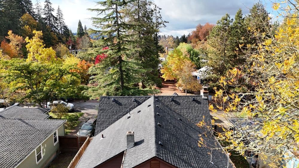 Aerial view of homes with autumn foliage and pine trees in a colorful neighborhood.