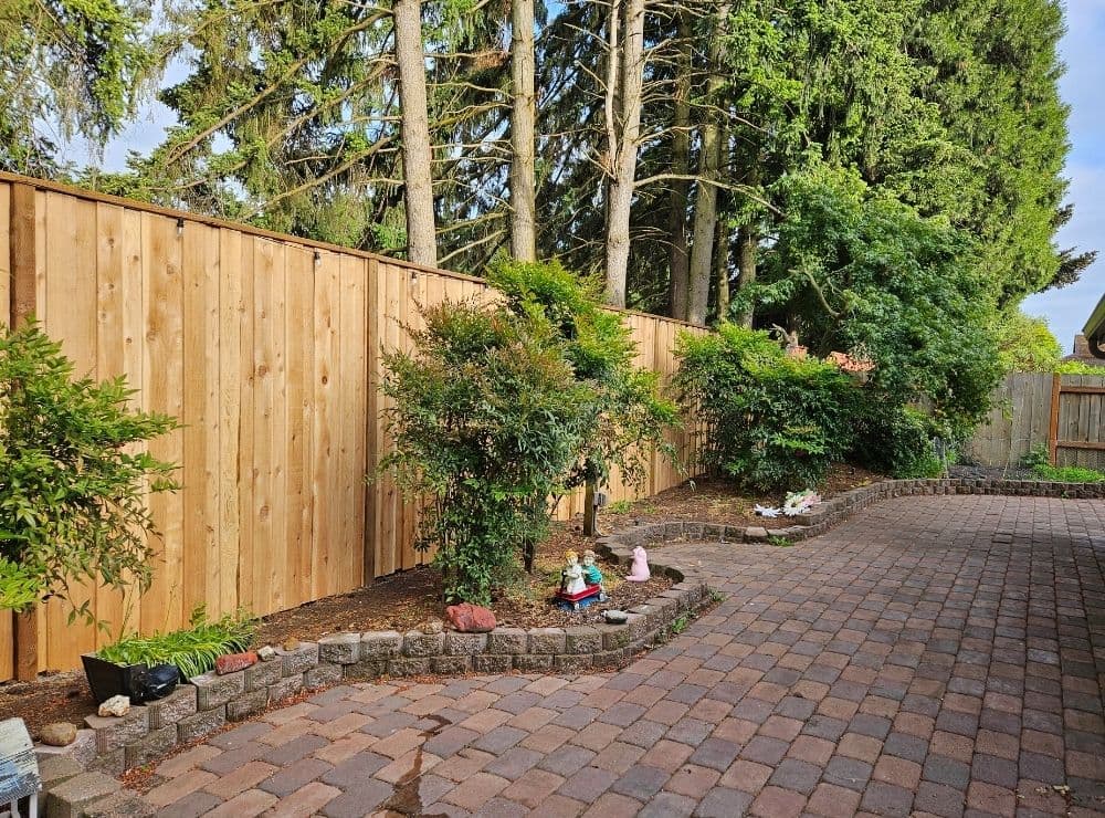 Well-maintained garden path lined with shrubs and trees, featuring a wooden fence backdrop.