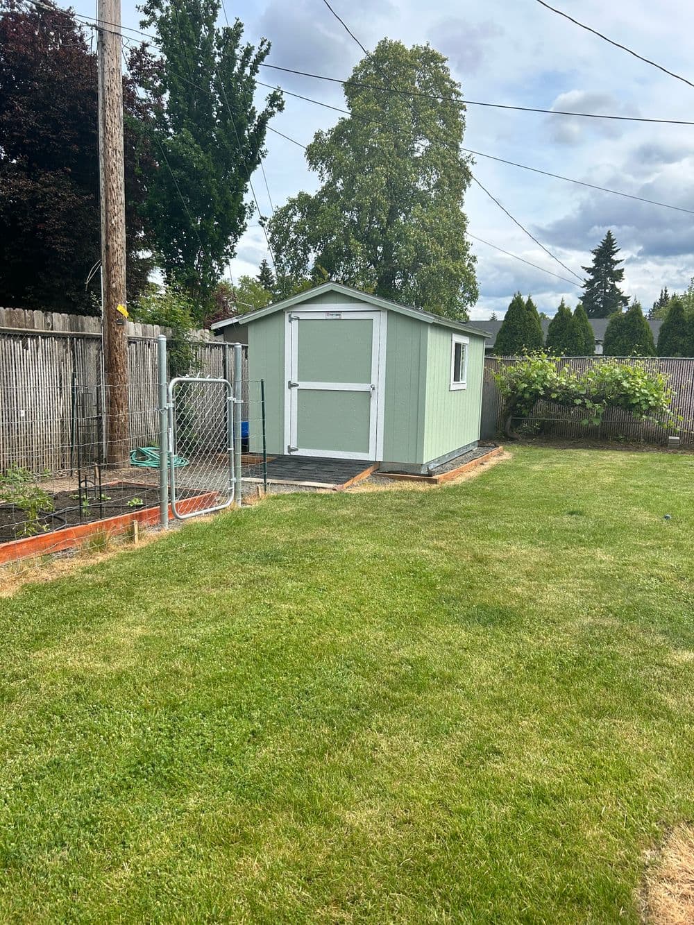 Green garden shed in a grassy backyard with trees and a wooden fence.